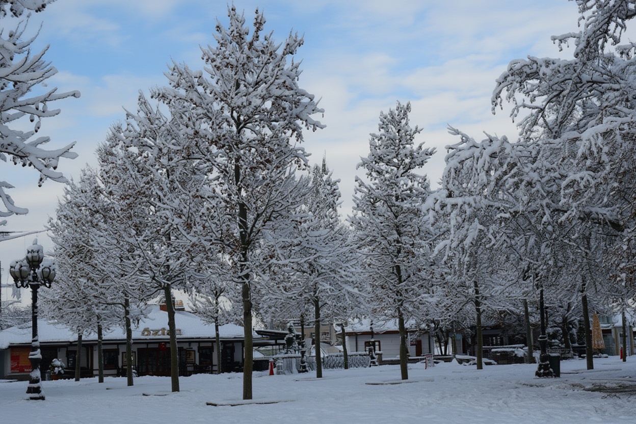 Tirana in winter — cold, quiet, and a completely different pace from the summer version